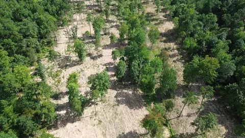 000 Private Road 4485 Rd, Ozone, AR 72854 photo 14