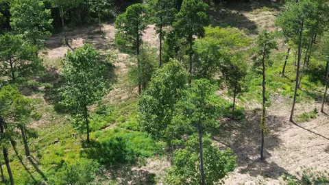 000 Private Road 4485 Rd, Ozone, AR 72854 photo 29