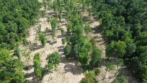 000 Private Road 4485 Rd, Ozone, AR 72854 photo 20