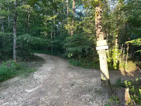 000 Private Road 4485 Rd, Ozone, AR 72854 photo 5
