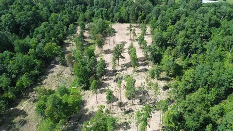 000 Private Road 4485 Rd, Ozone, AR 72854 photo 45