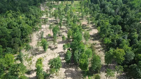000 Private Road 4485 Rd, Ozone, AR 72854 photo 15