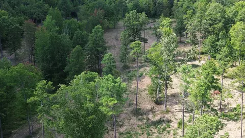 000 Private Road 4485 Rd, Ozone, AR 72854 photo 27