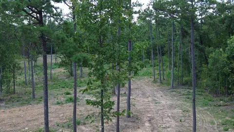 000 Private Road 4485 Rd, Ozone, AR 72854 photo 25