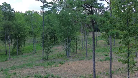 000 Private Road 4485 Rd, Ozone, AR 72854 photo 24