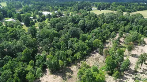 000 Private Road 4485 Rd, Ozone, AR 72854 photo 43