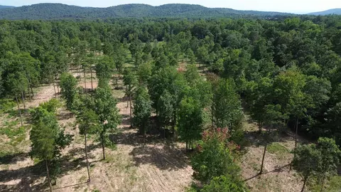 000 Private Road 4485 Rd, Ozone, AR 72854 photo 12
