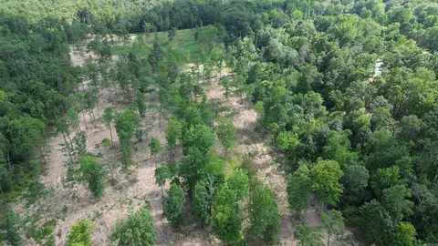 000 Private Road 4485 Rd, Ozone, AR 72854 photo 16