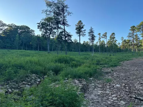 000 Private Road 4485 Rd, Ozone, AR 72854