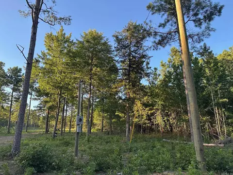 000 Private Road 4485 Rd, Ozone, AR 72854 photo 10