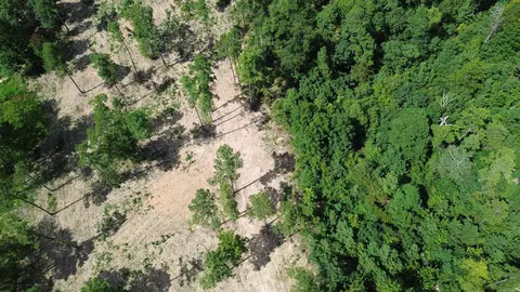 000 Private Road 4485 Rd, Ozone, AR 72854 photo 47