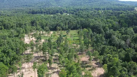 000 Private Road 4485 Rd, Ozone, AR 72854 photo 18