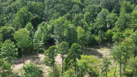 000 Private Road 4485 Rd, Ozone, AR 72854 photo 30