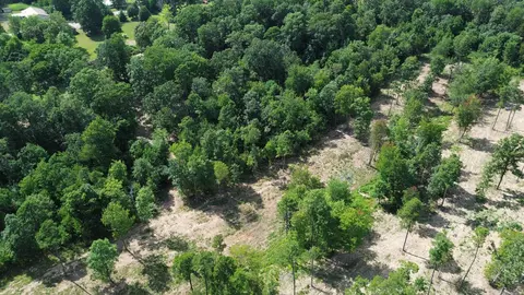 000 Private Road 4485 Rd, Ozone, AR 72854 photo 44