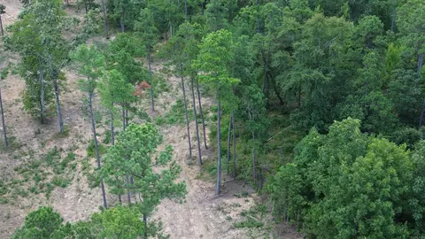 000 Private Road 4485 Rd, Ozone, AR 72854 photo 26