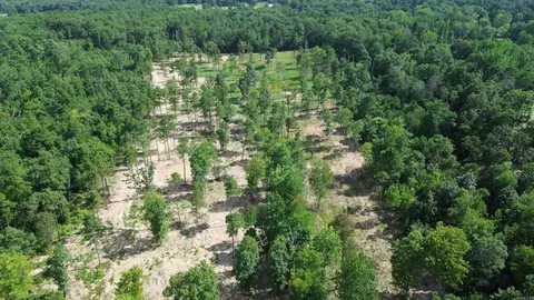000 Private Road 4485 Rd, Ozone, AR 72854 photo 21