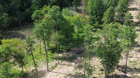 000 Private Road 4485 Rd, Ozone, AR 72854 photo 28