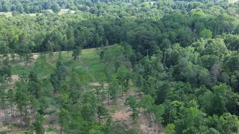 000 Private Road 4485 Rd, Ozone, AR 72854 photo 17