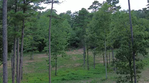 000 Private Road 4485 Rd, Ozone, AR 72854 photo 22