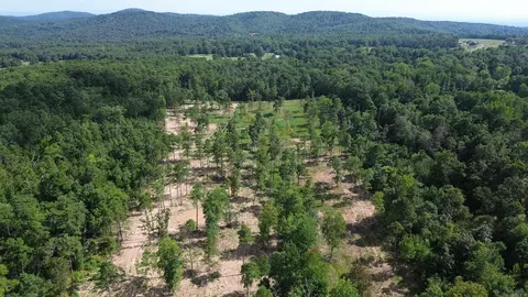 000 Private Road 4485 Rd, Ozone, AR 72854 photo 13