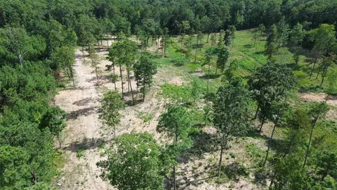 000 Private Road 4485 Rd, Ozone, AR 72854 photo 33