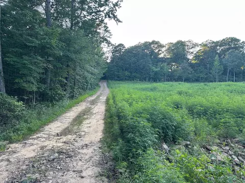 000 Private Road 4485 Rd, Ozone, AR 72854 photo 3