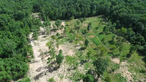 000 Private Road 4485 Rd, Ozone, AR 72854 photo 38