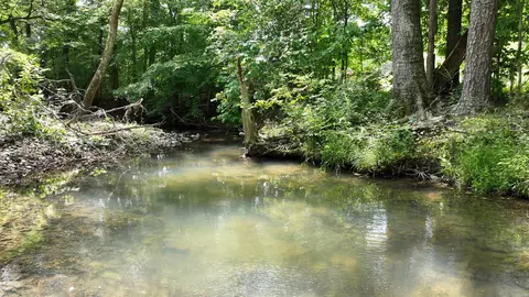 116 Polk Road 55, Mena, AR 71953 photo 23