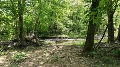 116 Polk Road 55, Mena, AR 71953 photo 24