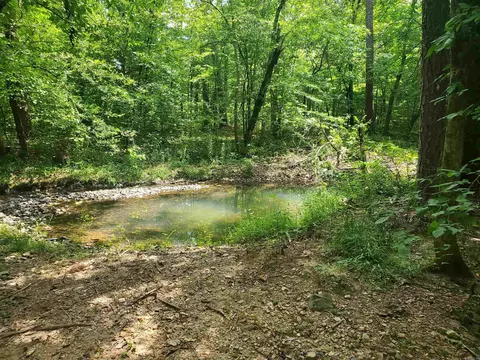 116 Polk Road 55, Mena, AR 71953 photo 20