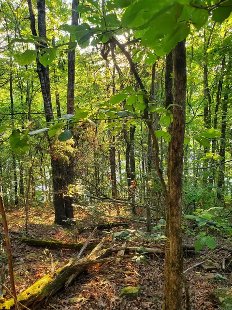 Lakeside Drive, Fairfield Bay, AR 72088