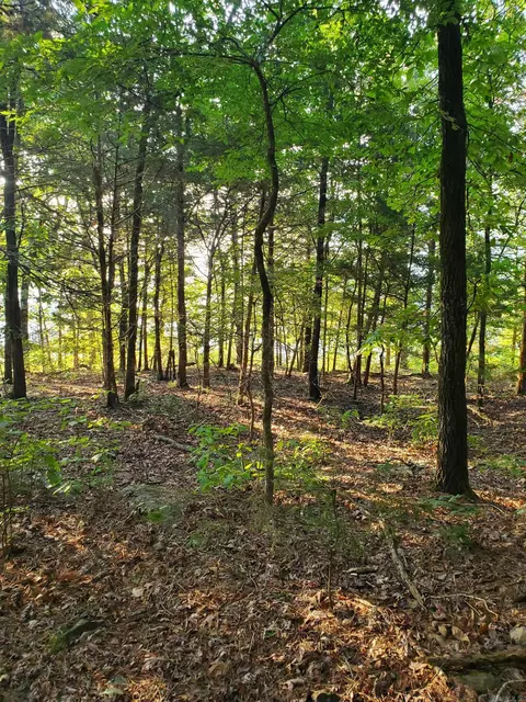 Wilshire Drive, Fairfield Bay, AR 72088