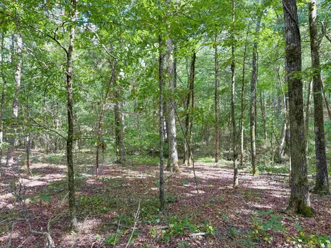 49 Landrum Rd, Quitman, AR 72131 photo 10