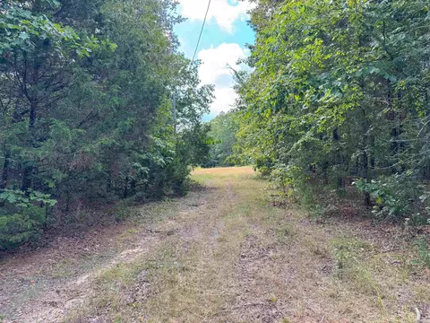 49 Landrum Rd, Quitman, AR 72131 photo 3