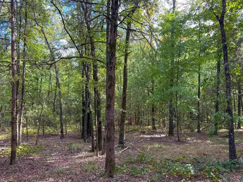 49 Landrum Rd, Quitman, AR 72131 photo 7