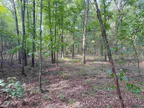 49 Landrum Rd, Quitman, AR 72131 photo 13