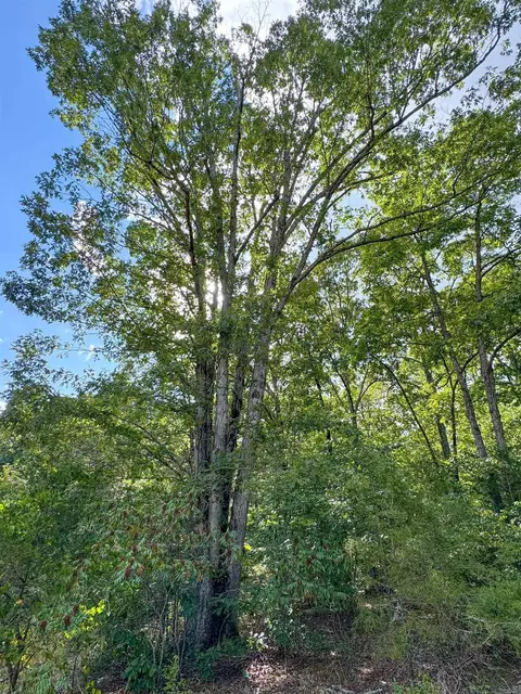 49 Landrum Rd, Quitman, AR 72131 photo 15