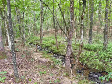 49 Landrum Rd, Quitman, AR 72131 photo 11