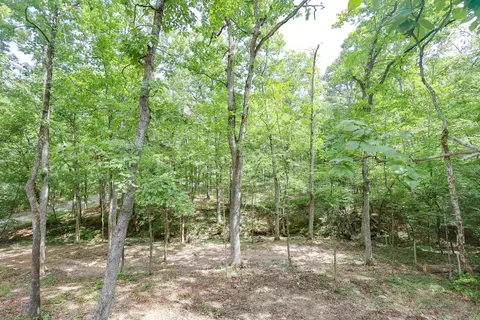 260 Hall St, Mount Ida, AR 71957 photo 30