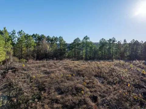 lot9 Polk Road 617, Mena, AR 71953