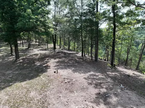 101 Rapids Run, Sims, AR 71953 photo 21