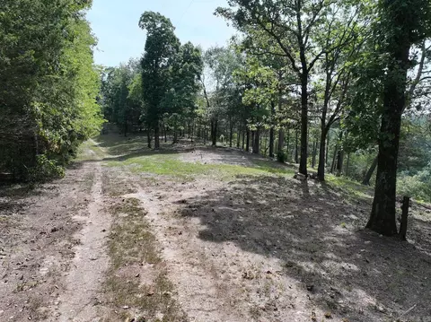 101 Rapids Run, Sims, AR 71953 photo 16