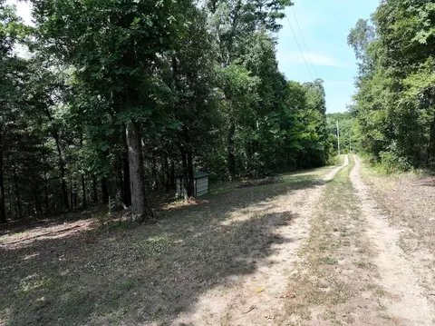 101 Rapids Run, Sims, AR 71953 photo 15