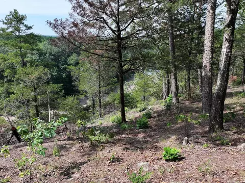 101 Rapids Run, Sims, AR 71953 photo 18