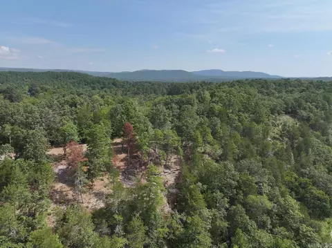 101 Rapids Run, Sims, AR 71953 photo 13
