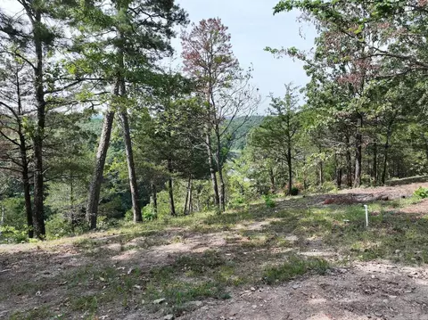 101 Rapids Run, Sims, AR 71953 photo 17
