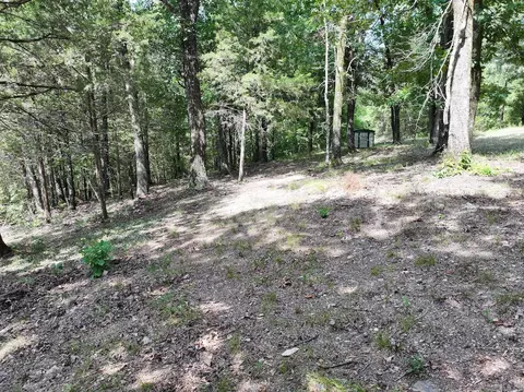 101 Rapids Run, Sims, AR 71953 photo 19
