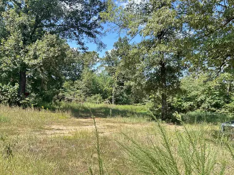 Exterior - 152 E Turkey Pen Rd, Highland, AR 72542 photo 18 of 21
