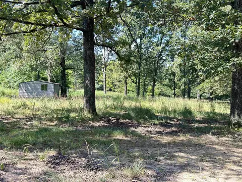 Exterior - 152 E Turkey Pen Rd, Highland, AR 72542 photo 16 of 21