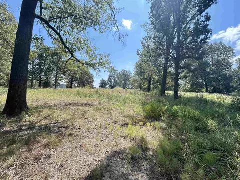Other - 152 E Turkey Pen Rd, Highland, AR 72542 photo 13 of 14
